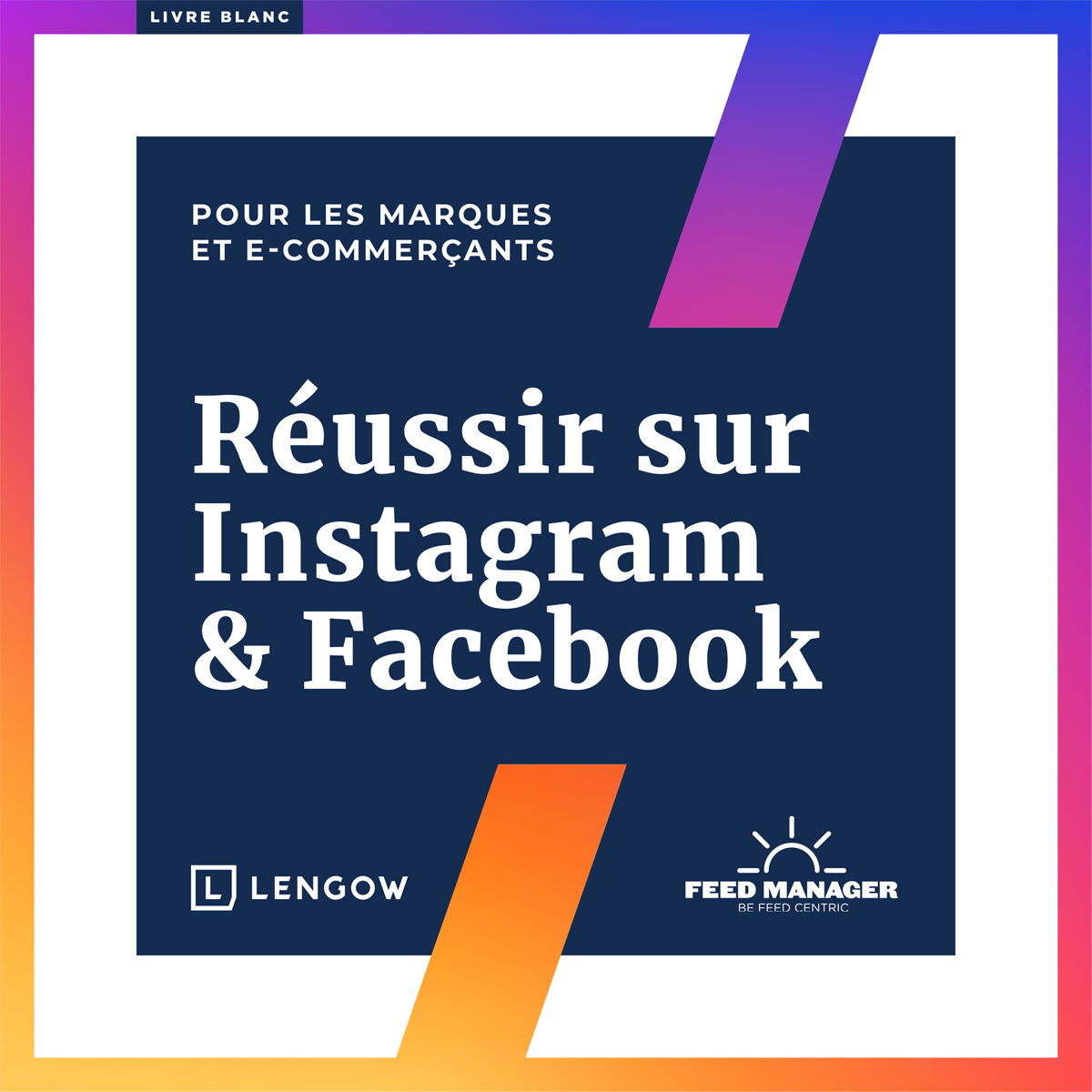 Livre Blanc Instagram et Facebook